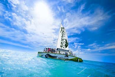 De Negril: Cruzeiro de Catamarã no Pelican Bar