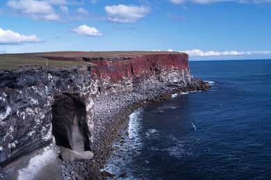 Från Reykjavik: Dagsutflykt till Reykjaneshalvön med Super Jeep