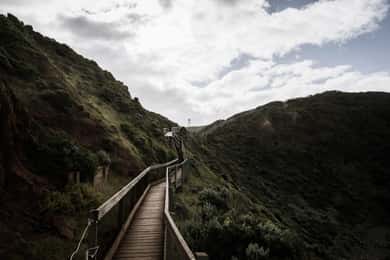 Melbourne: Excursão à Península Mornington e às Termas 8 pax max