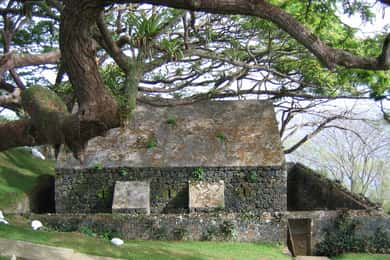 Tobago: Half-Day Highlights Tour