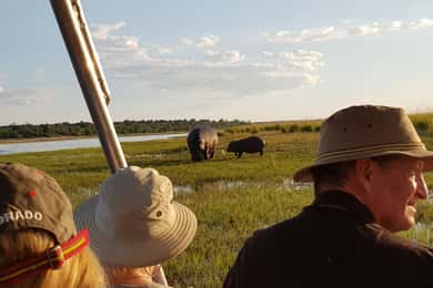 From Victoria Falls: Chobe Day Safari with Buffet Lunch