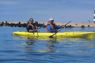 Walvis Baai: Pelican Point kajaktocht