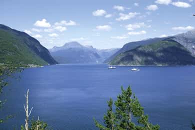 Fra Bergen: Privat tur til Hardangerfjorden