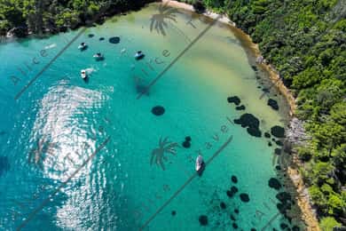 Zadar: Speedbåt-eventyr med snorkling og lokal vin