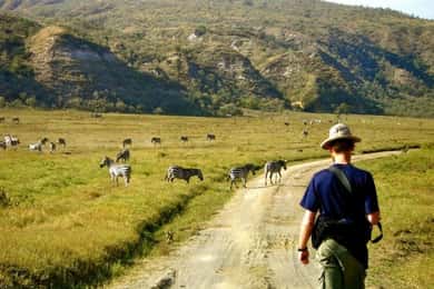 From Nairobi: Lake Naivasha and Hell's Gate Park Day Tour