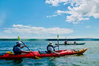 Cidade de Quebec: Passeio de caiaque na Ilha de Orleans