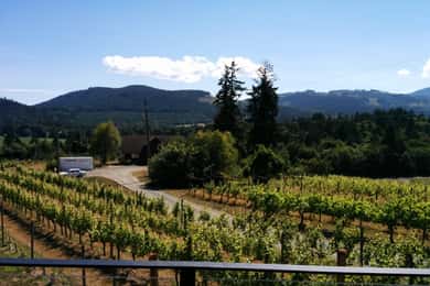 Victoria, BC: Tour gastronómico e vinícola no Vale Cowichan
