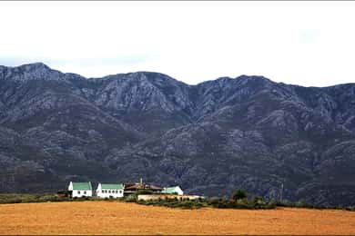 Oudtshoorn: Swartberg Mountain Pass Tour med lunsj på landet