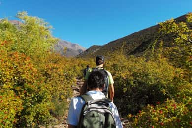 Mendoza: senderismo de montaña de 4 horas con almuerzo