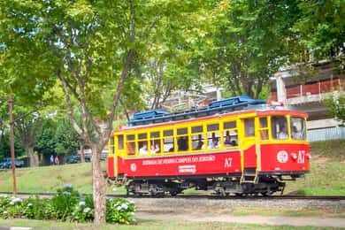 São Paulo: Campos do Jordão Guided Tour