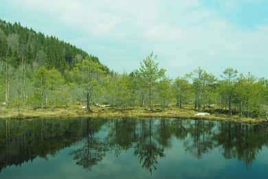From Brasov: Small-Group Volcanic Lake Day Trip