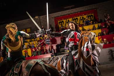 Orlando: Medieval Times Dinner and Show Ticket