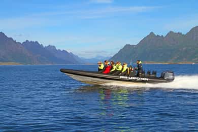 Fra Svolvær: Lofoten RIB Sea Eagle Safari Trollfjord Cruise