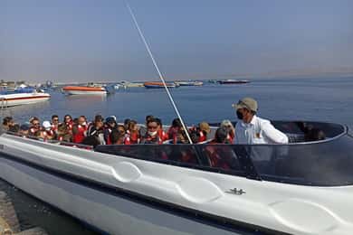 Full day Paracas- Ica - Huacachina