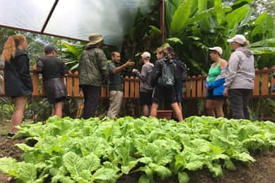 Quepos: Manuel Antonio Local Flavor Tour