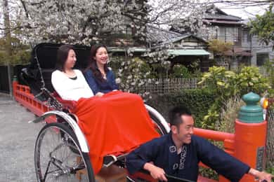 Private History and Heritage Tour by Rickshaw