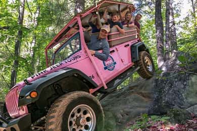 Pigeon Forge: tour in jeep di Newfound Gap e Smoky Mountains
