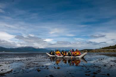 Ushuaia: Gable Island and Penguin Colony with Canoeing