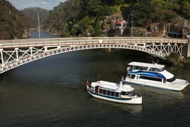 Launceston: 2.5-Hour Afternoon Discovery Cruise