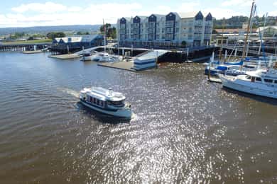 Launceston: 50-Minute Cataract Gorge Cruise
