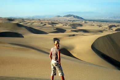 Full Day Tour: Ballestas Island & Huacachina Oasis from Lima
