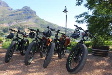 Stellenbosch: Passeio de E-Bike pelo campo no vale de Banhoek