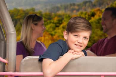 From Pigeon Forge: Roaring Fork 2.5-Hour Jeep Tour