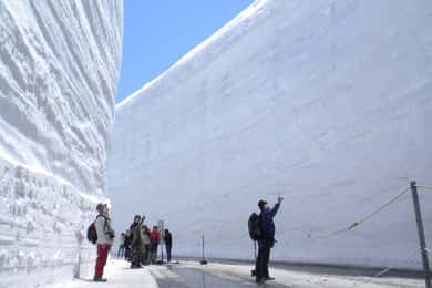 From Nagano: Tateyama-Kurobe Alpine Route