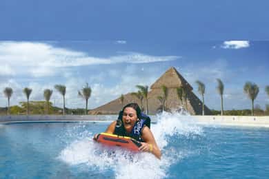 Punta Cana: Swim or Interact with Dolphins in the Sea