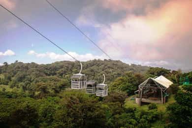 San José: Excursión de un día al Teleférico y Puentes Colgantes de Monteverde