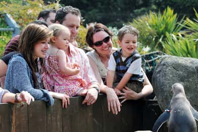 Sea Life Weymouth Admission Ticket