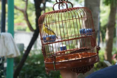 Excursão a pé em pequenos grupos pelos mercados de Kowloon