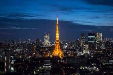 Torre de Tokio: Ticket de entrada