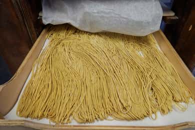 Asti: Pasta & Tiramisu les bij iemand thuis