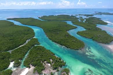 Key West: Eco Safari Sandbar Tour with Snorkeling