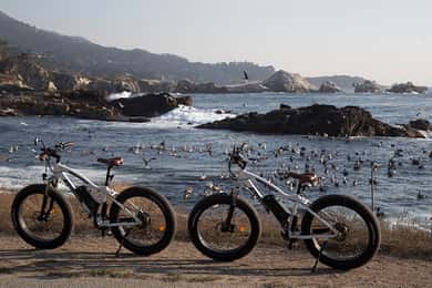 "Family Friendly" Scenic E-Bike Tour along 17 Mile Dr
