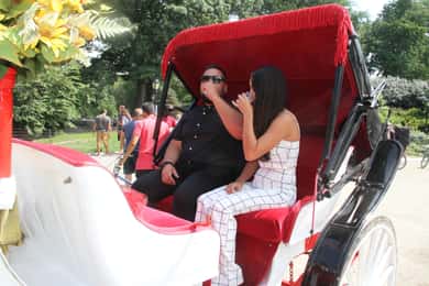 Ρομαντική/Πρόταση Central Park Carriage Tour Μέχρι 4 ενήλικες