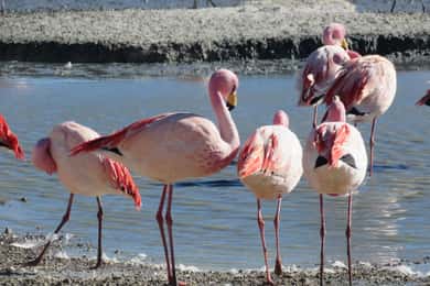 La Paz: 6-Day Private Best-of-Bolivia Tour with Flights