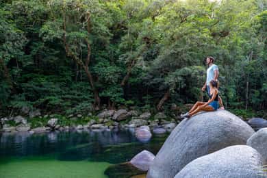 Port Douglas: Daintree Rainforest and Cape Tribulation Tour