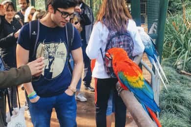 Buenos Aires: Bioparque Temaiken con Traslados