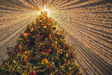 Christmas Lights: Polignano, Alberobello & Locorotondo, from Bari