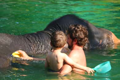 Khao Lak: Rafting, banho de elefante e excursão ao centro de tartarugas marinhas