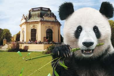 Skip-the-line Tickets for Schönbrunn Zoo