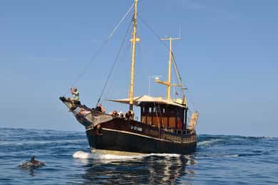 La Palma: Bussard Premium Tour Meeresbiologie & Natur