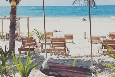 De historische schatten van Tulum: Een wandeltour