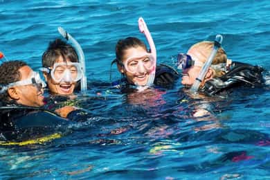 Dykning i norr med Blue World Adventures