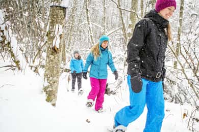 Cidade de Quebec: Visita ao Parque Nacional Jacques-Cartier com raquetes de neve