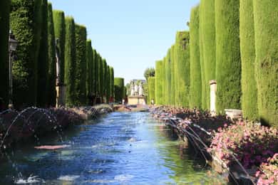 Alcázar e quartiere ebraico: tour guidato di 2 ore