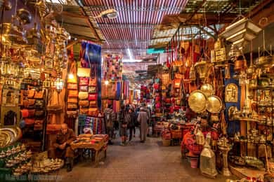 Da Casablanca: Escursione di un giorno a Marrakech con giro in cammello