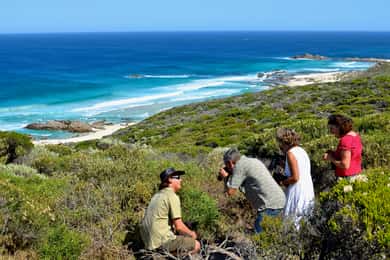 From Busselton: Half-Day Coastal and Wildlife Eco Tour